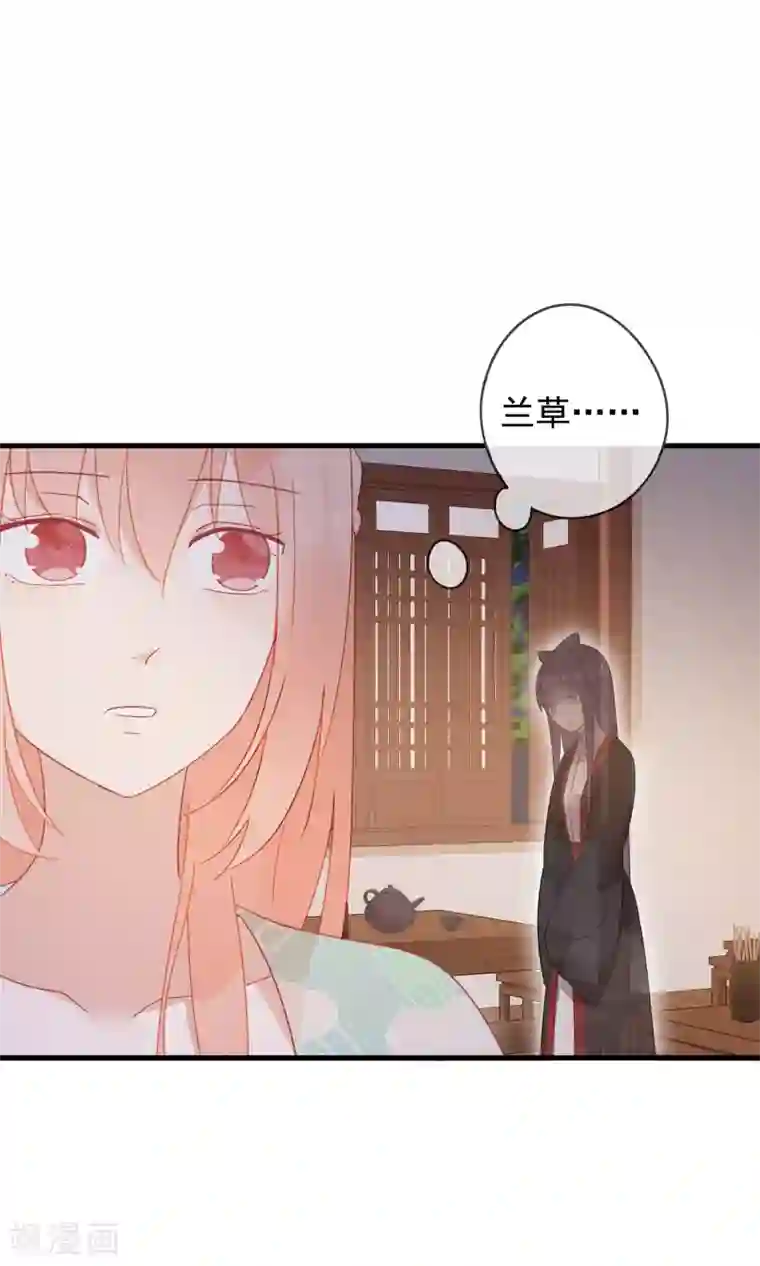 我的猫仙大人第29话 灵魂的归处