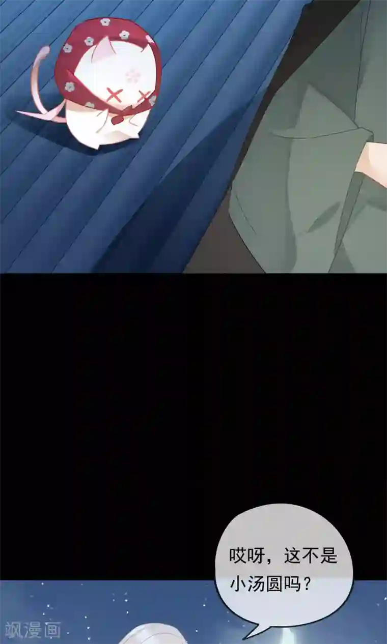 我的猫仙大人第29话 灵魂的归处