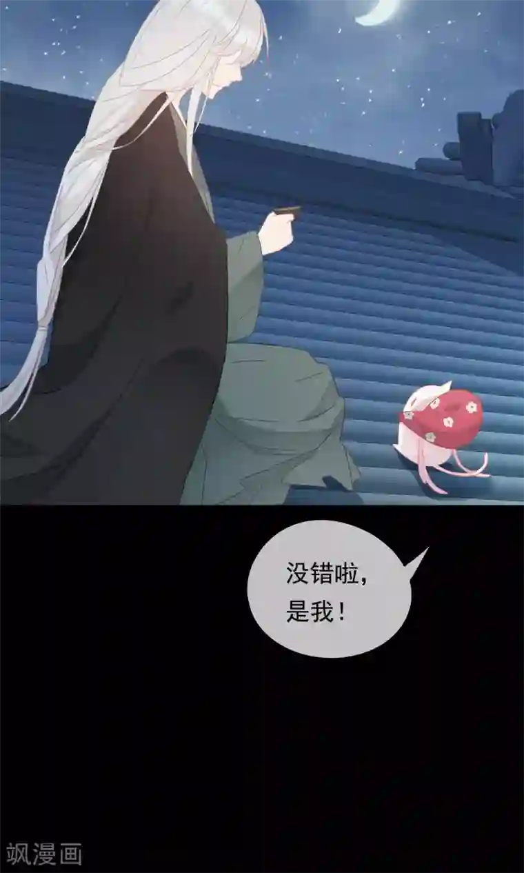 我的猫仙大人第29话 灵魂的归处