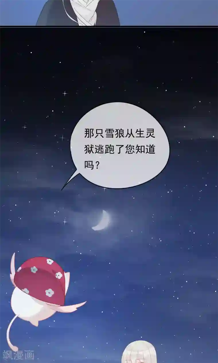 我的猫仙大人第29话 灵魂的归处