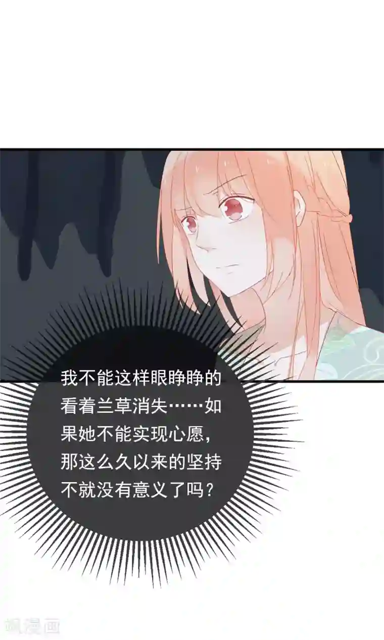 我的猫仙大人第29话 灵魂的归处