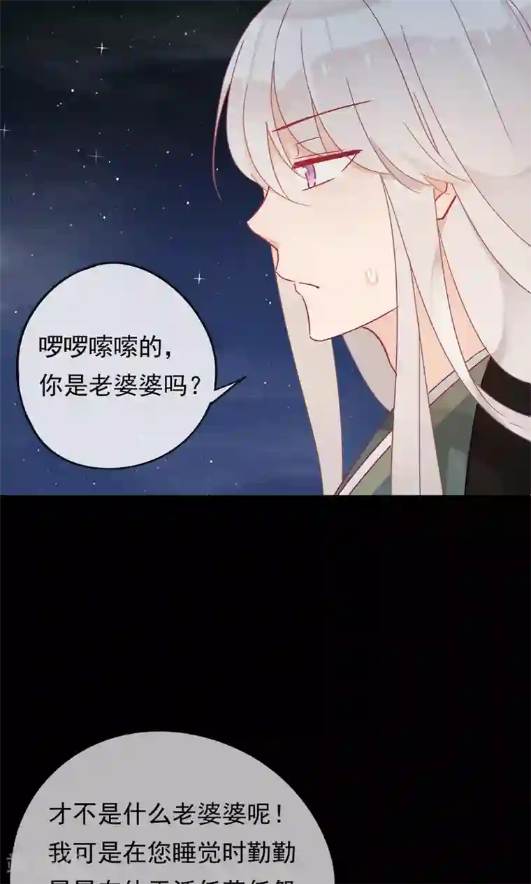 我的猫仙大人第29话 灵魂的归处