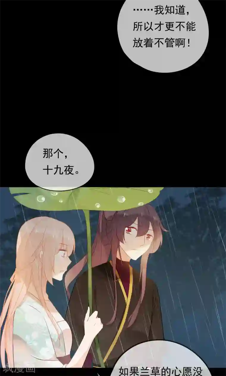 我的猫仙大人第29话 灵魂的归处