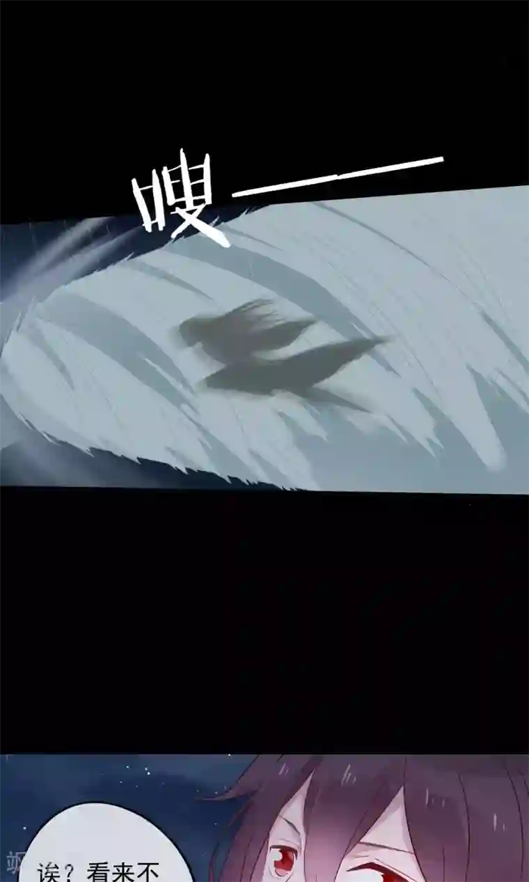 我的猫仙大人第30话 神秘的妖怪