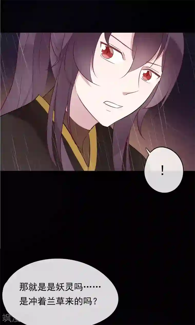 我的猫仙大人第30话 神秘的妖怪