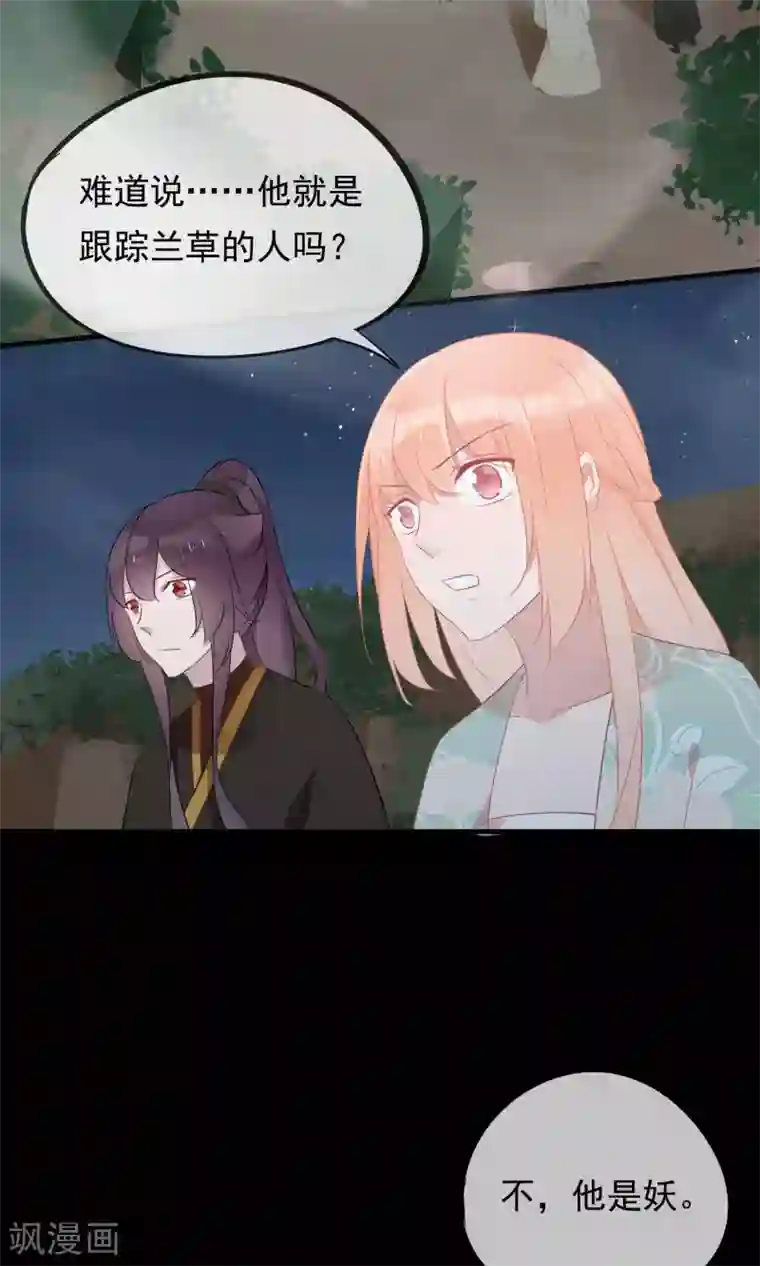 我的猫仙大人第30话 神秘的妖怪