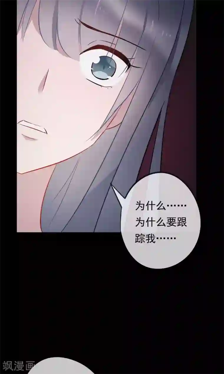 我的猫仙大人第30话 神秘的妖怪