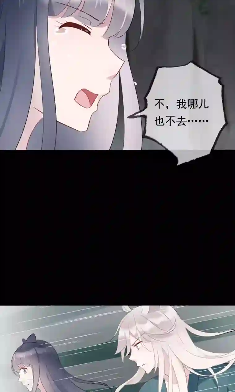 我的猫仙大人第30话 神秘的妖怪