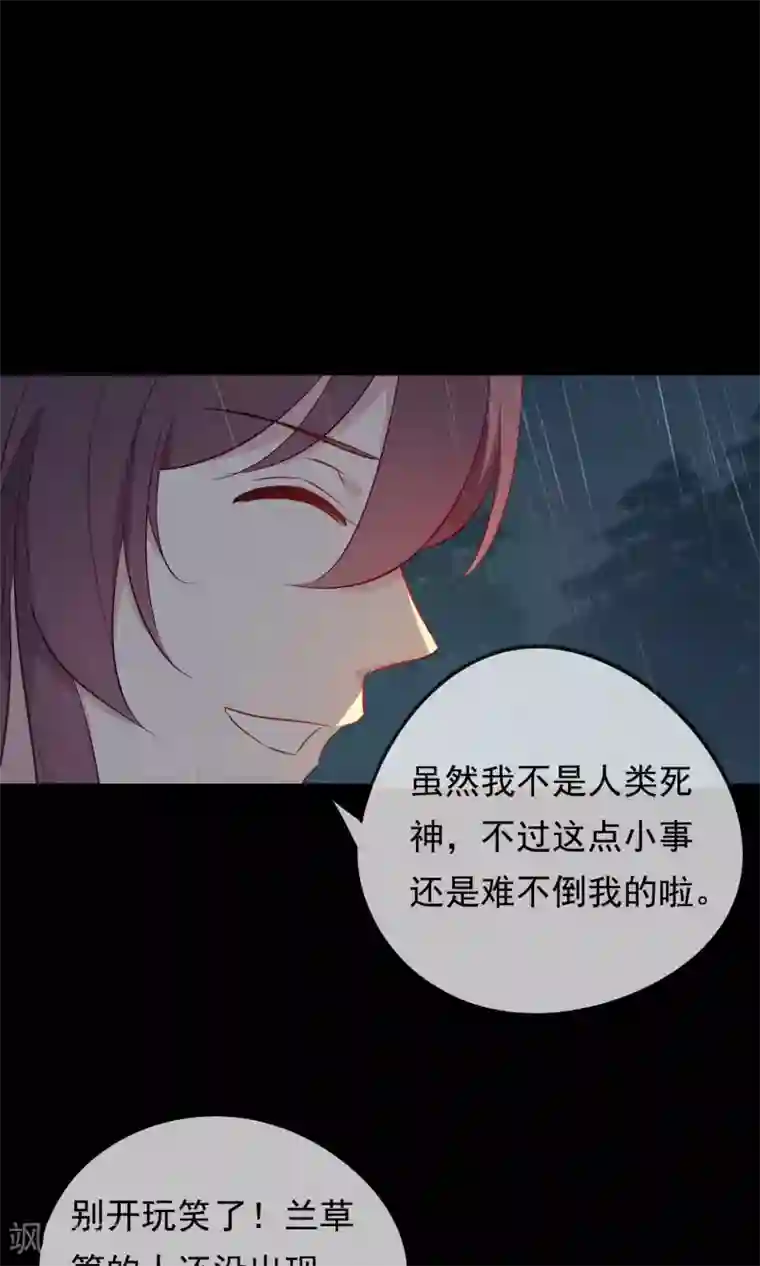 我的猫仙大人第30话 神秘的妖怪