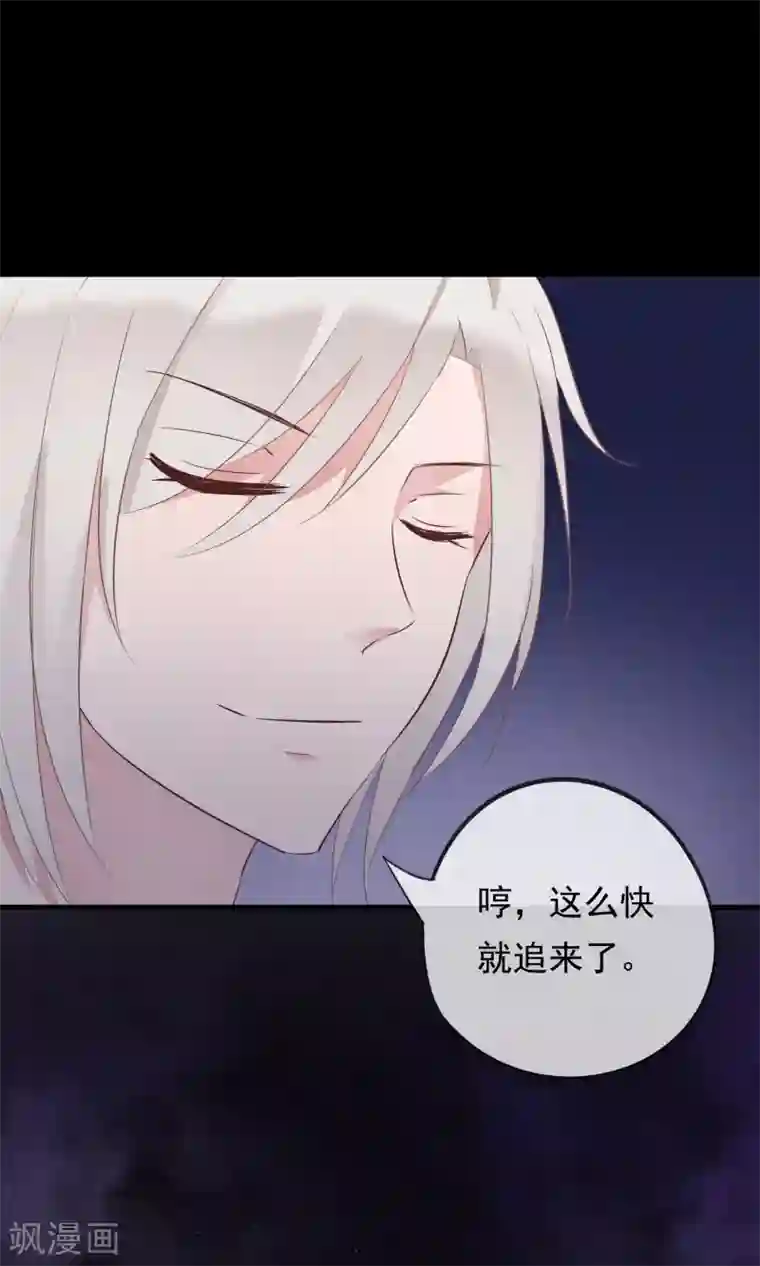 我的猫仙大人第31话 十九夜的惊人战斗力！