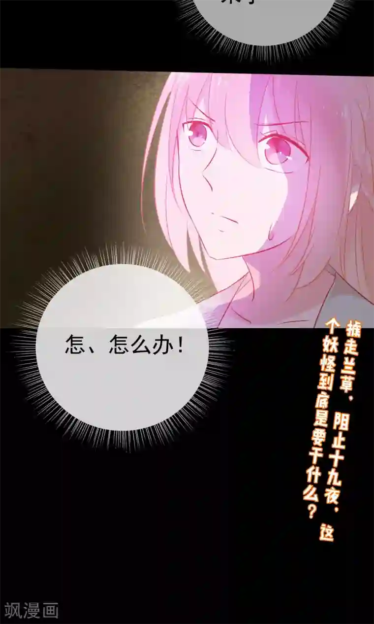 我的猫仙大人第31话 十九夜的惊人战斗力！