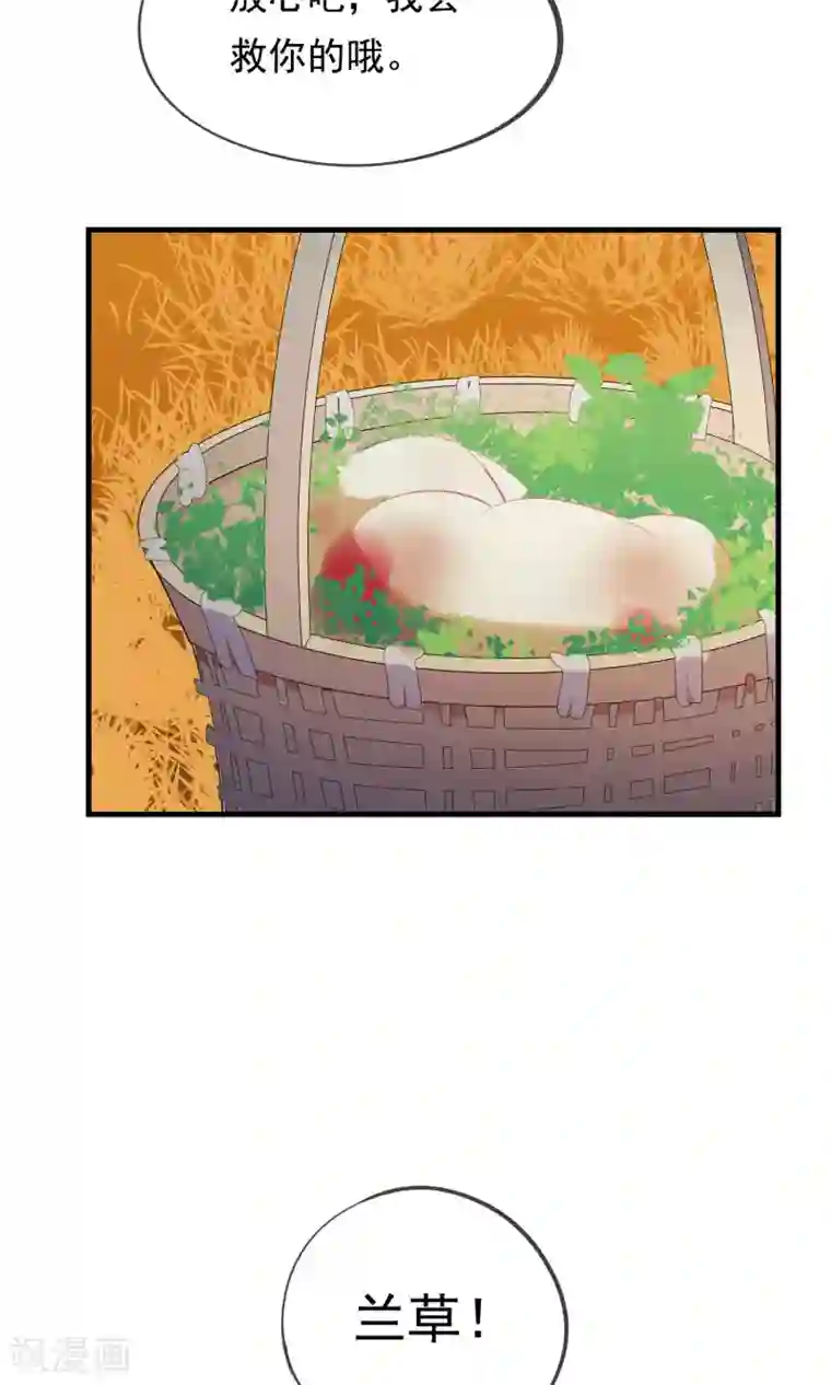 我的猫仙大人第32话 我舍弃性命救下了你