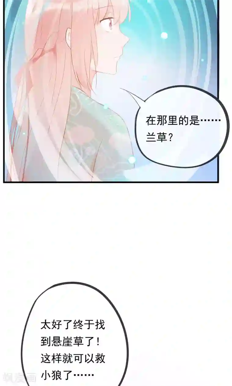 我的猫仙大人第32话 我舍弃性命救下了你