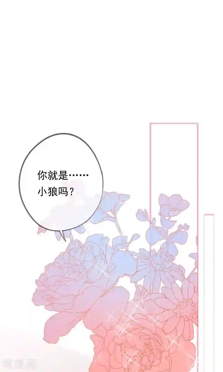 我的猫仙大人第32话 我舍弃性命救下了你