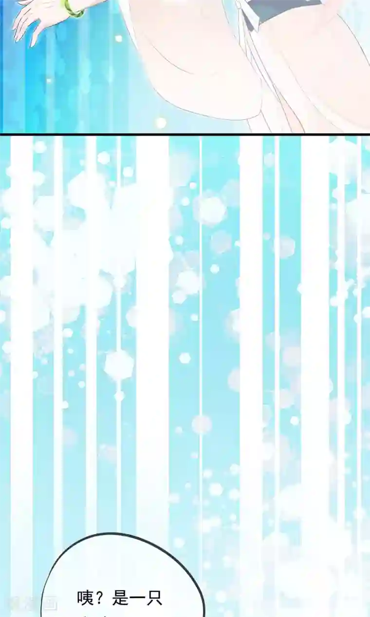 我的猫仙大人第32话 我舍弃性命救下了你