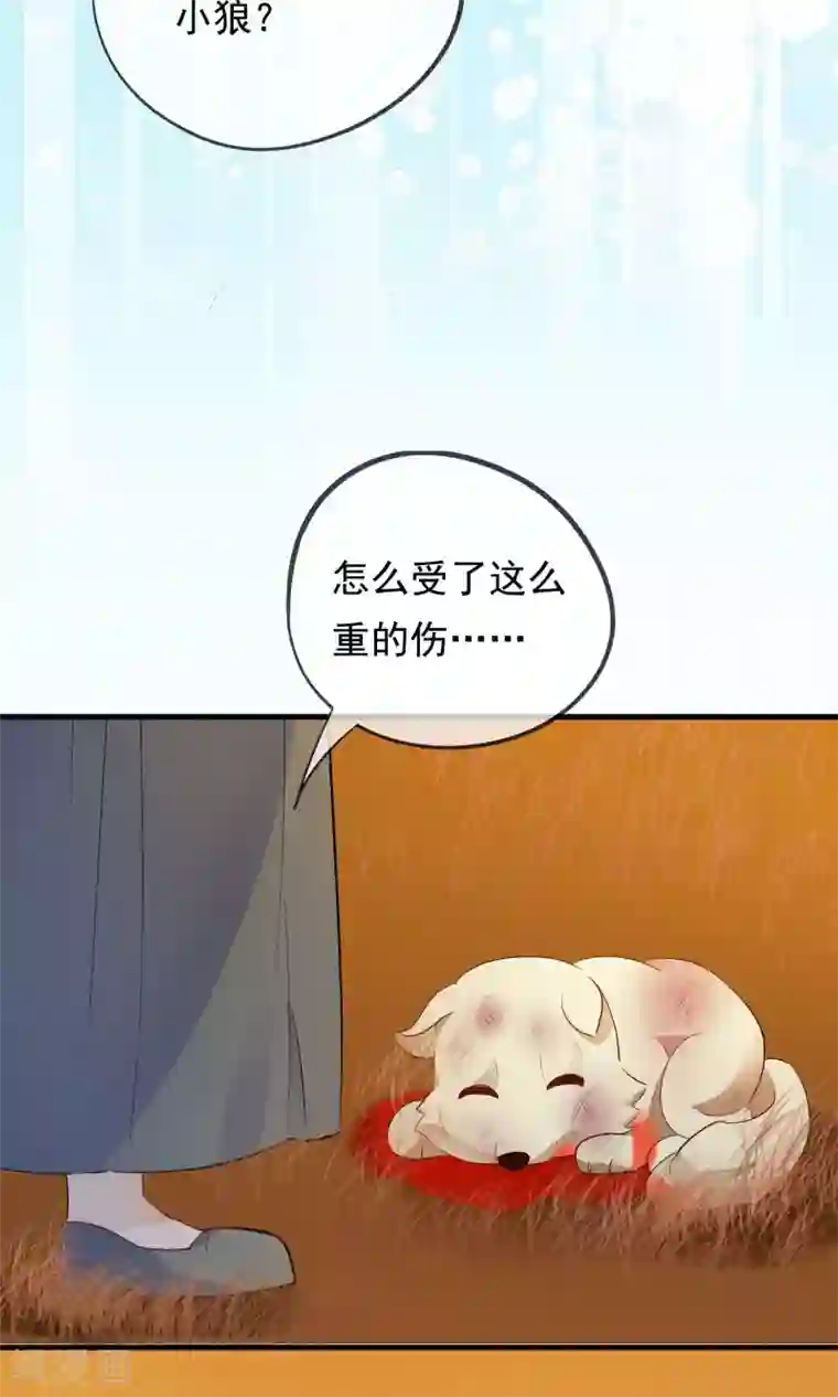 我的猫仙大人第32话 我舍弃性命救下了你