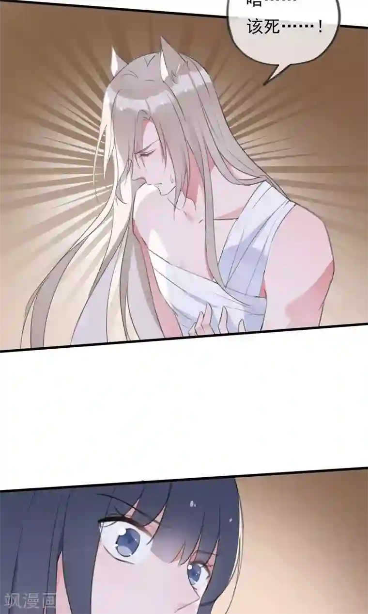 我的猫仙大人第33话 小狼妖的往事