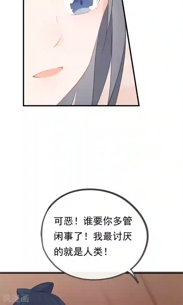 我的猫仙大人第33话 小狼妖的往事