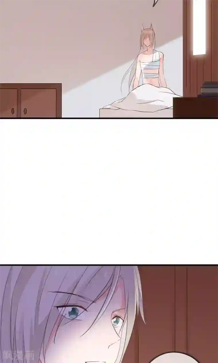 我的猫仙大人第33话 小狼妖的往事