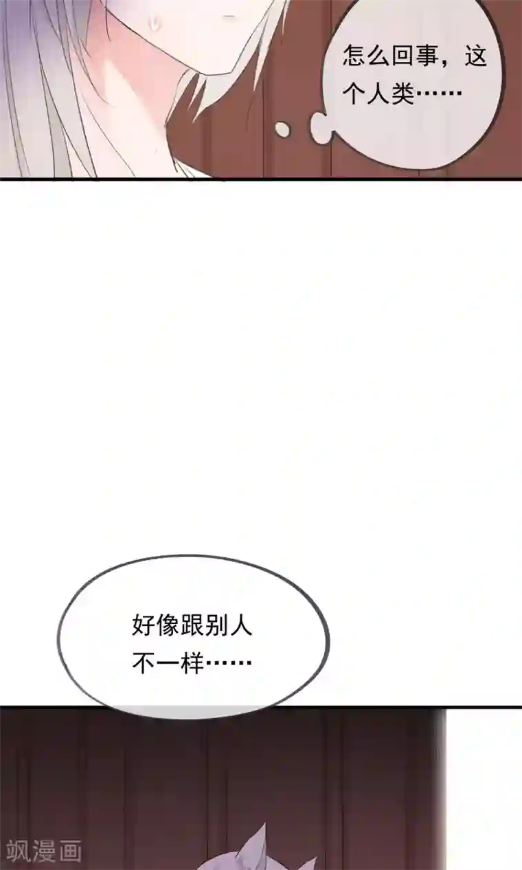 我的猫仙大人第33话 小狼妖的往事