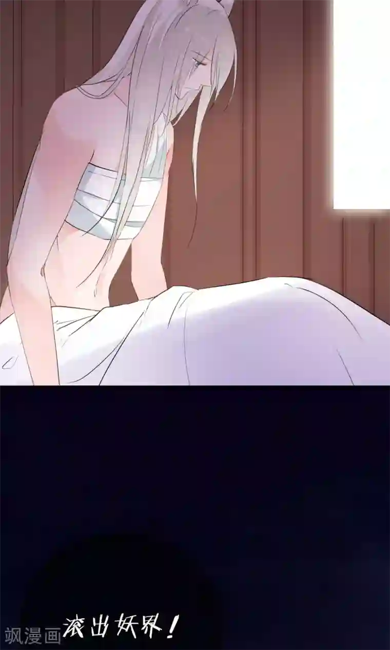 我的猫仙大人第33话 小狼妖的往事