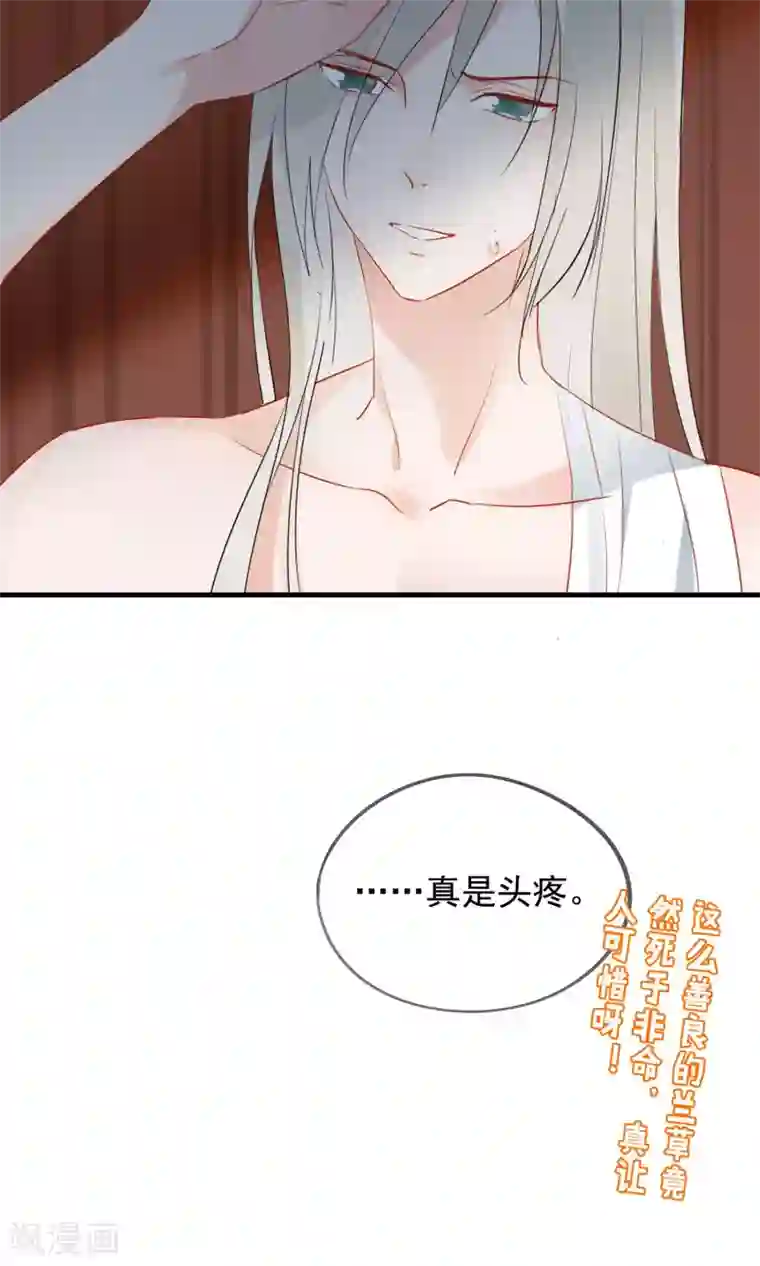 我的猫仙大人第33话 小狼妖的往事