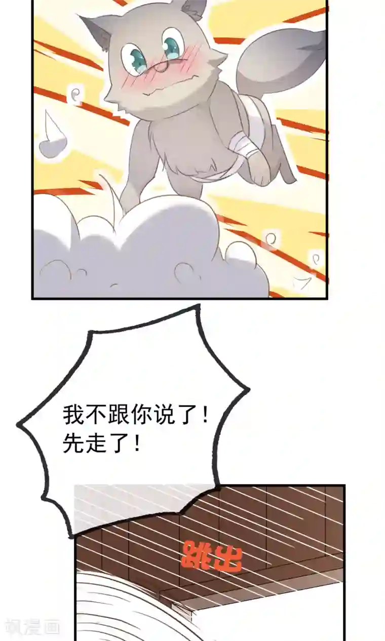 我的猫仙大人第34话 人妖殊途