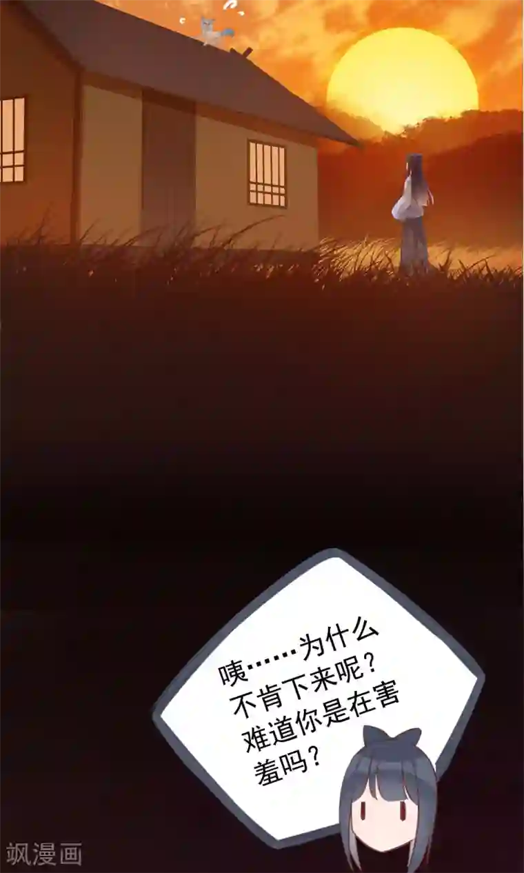 我的猫仙大人第34话 人妖殊途