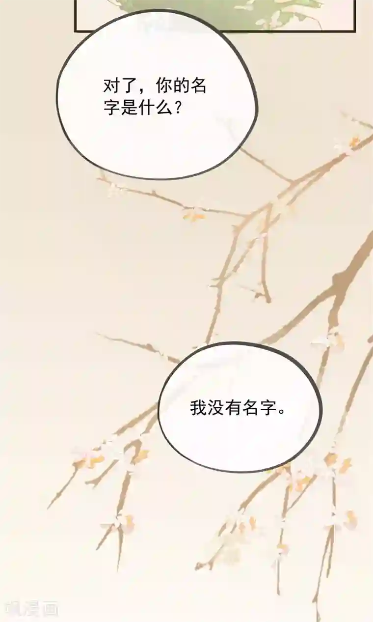 我的猫仙大人第34话 人妖殊途