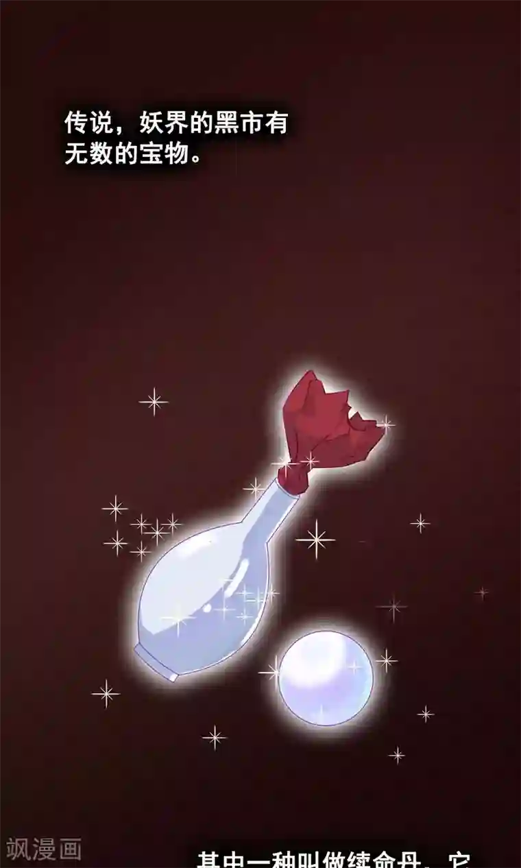 我的猫仙大人第35话 极乐司