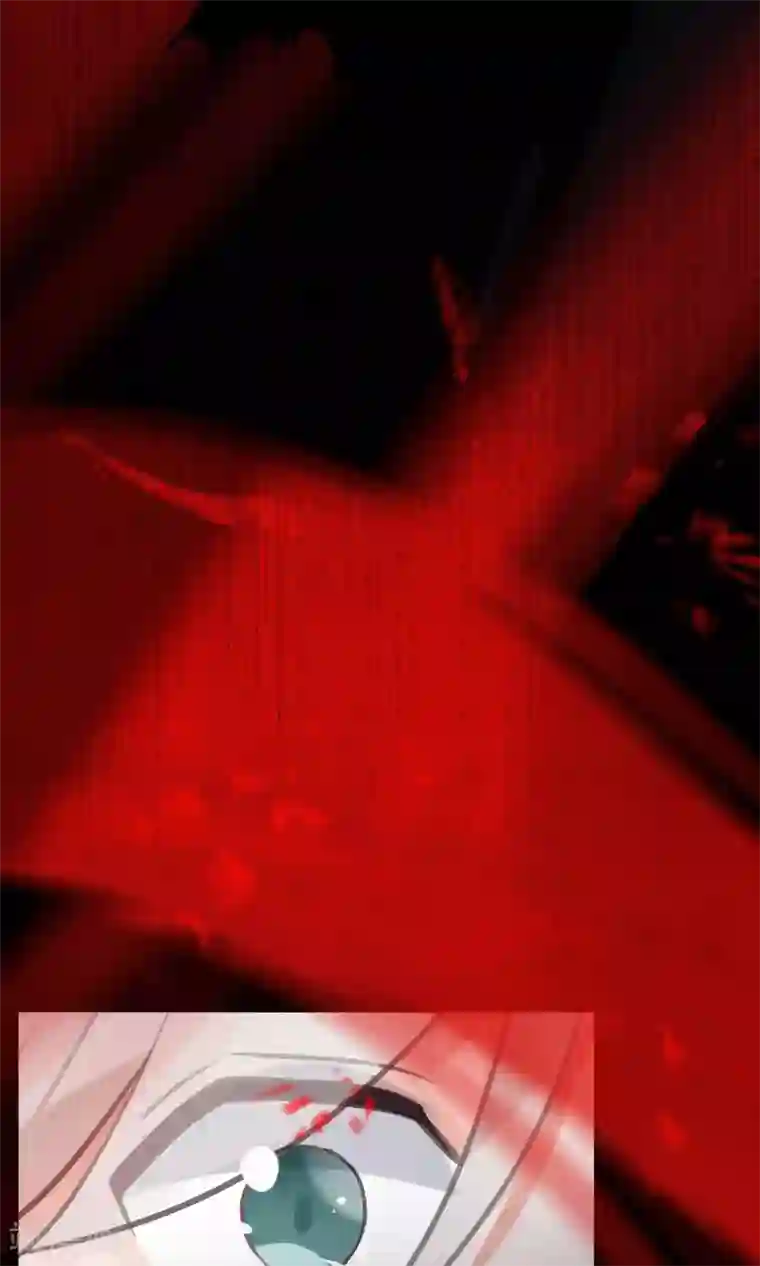 我的猫仙大人第35话 极乐司