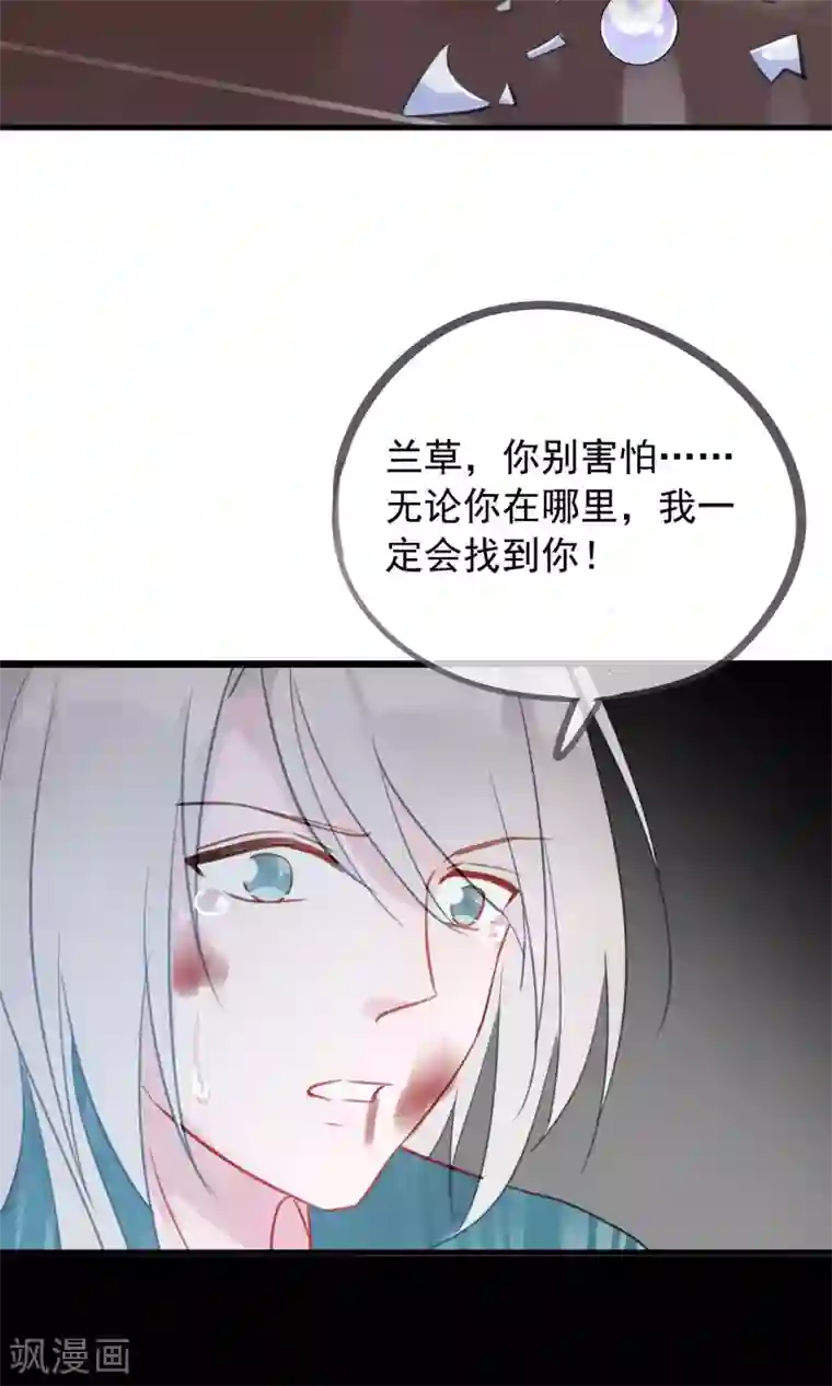 我的猫仙大人第35话 极乐司