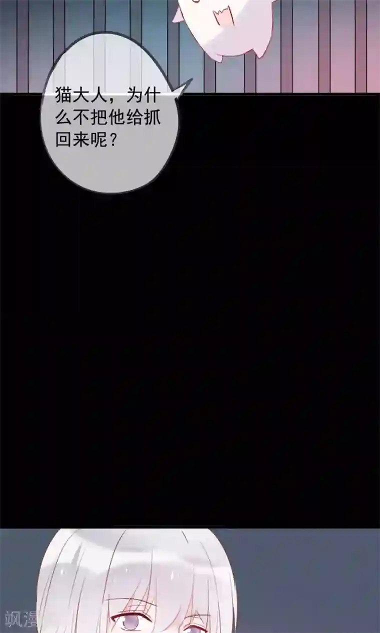 我的猫仙大人第35话 极乐司