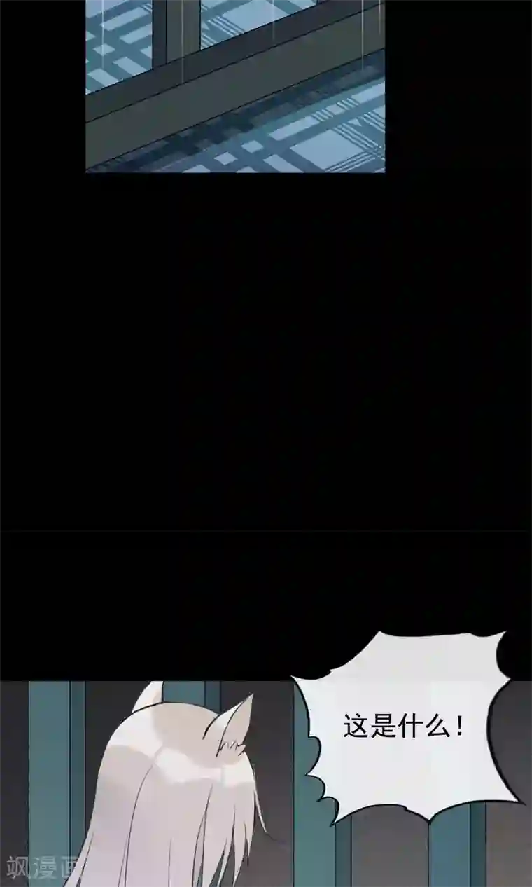 我的猫仙大人第35话 极乐司