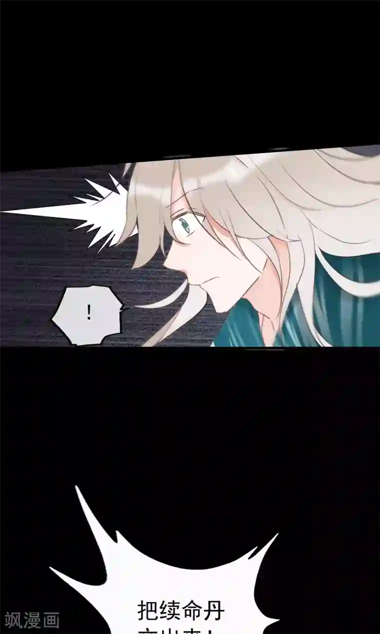 我的猫仙大人第35话 极乐司