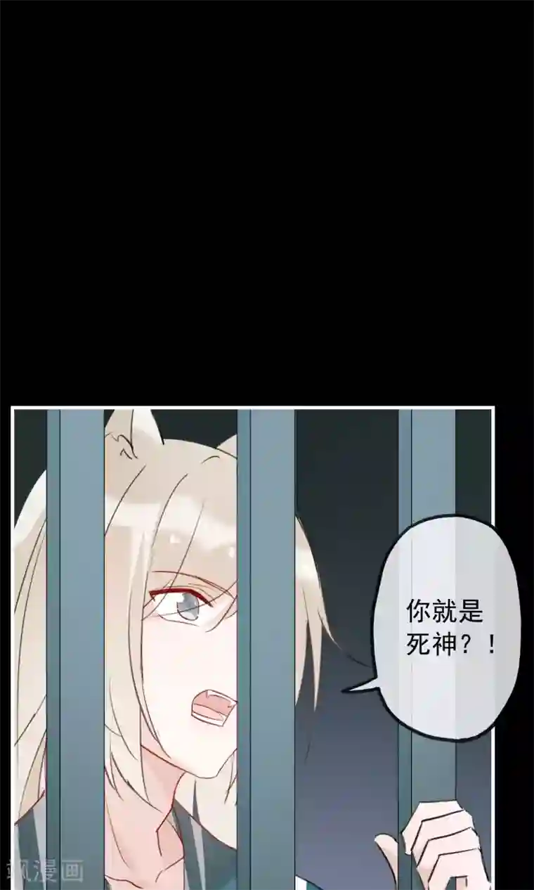 我的猫仙大人第36话 猫咛的计划