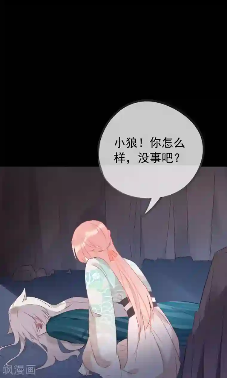 我的猫仙大人第36话 猫咛的计划