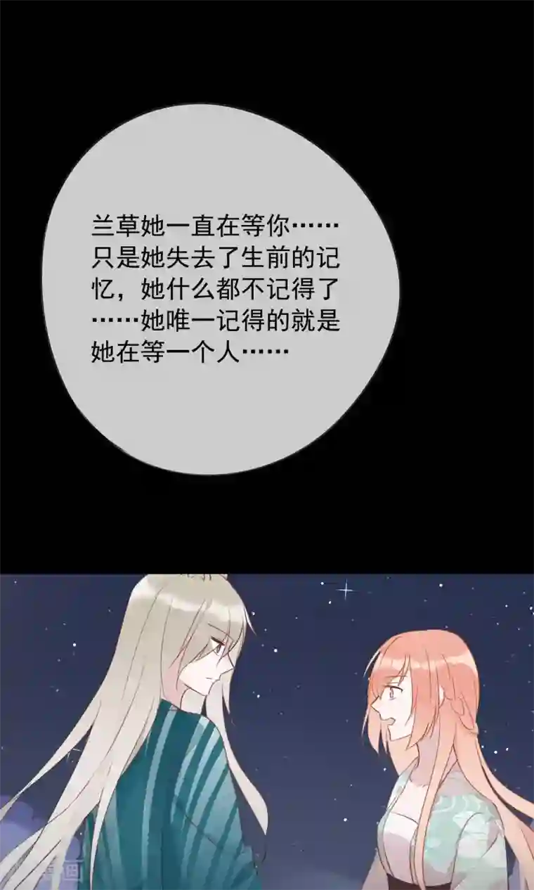 我的猫仙大人第36话 猫咛的计划