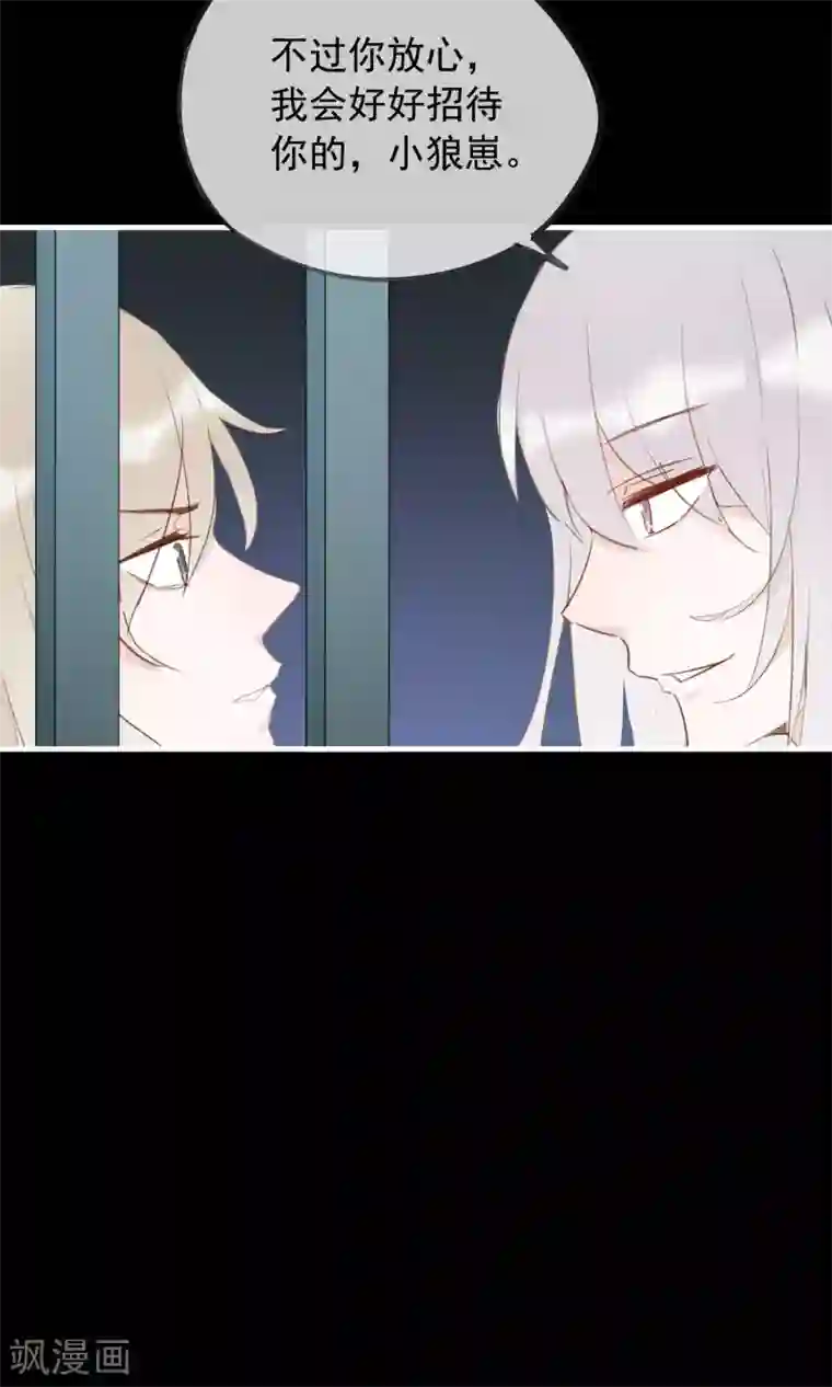 我的猫仙大人第36话 猫咛的计划