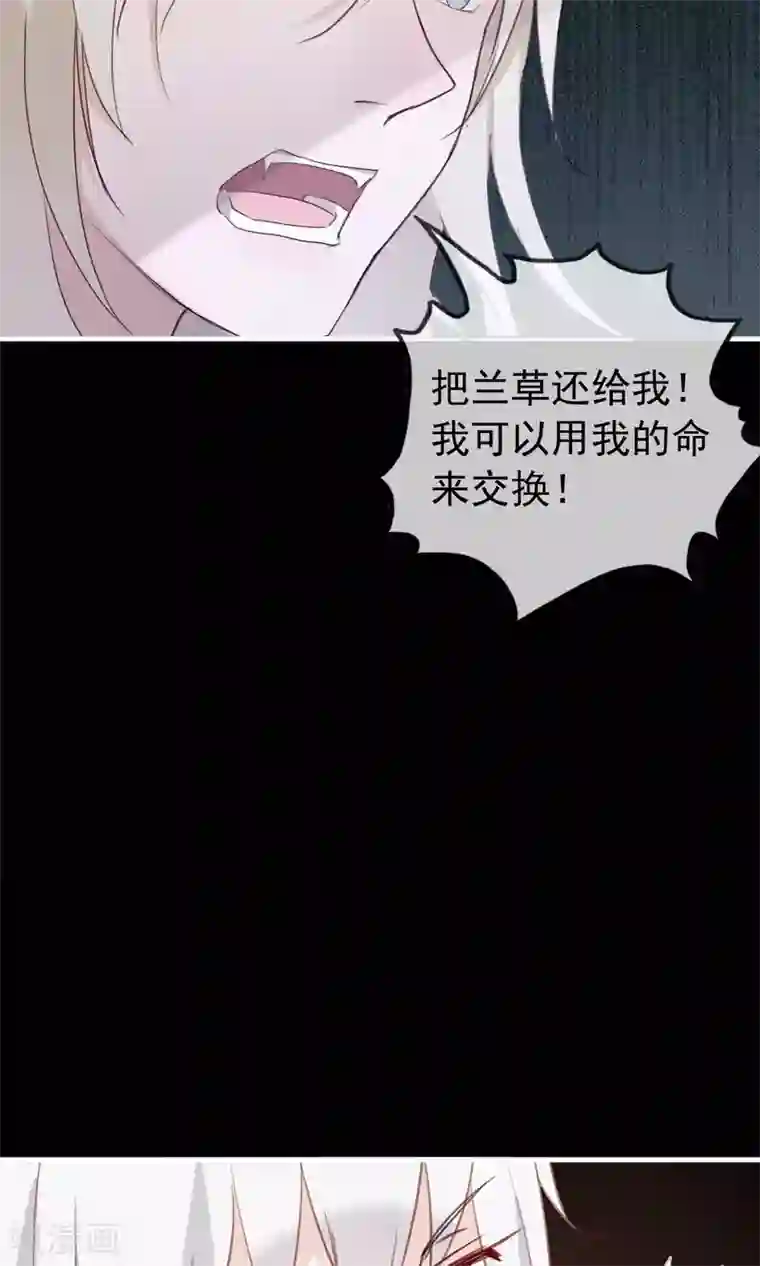 我的猫仙大人第36话 猫咛的计划