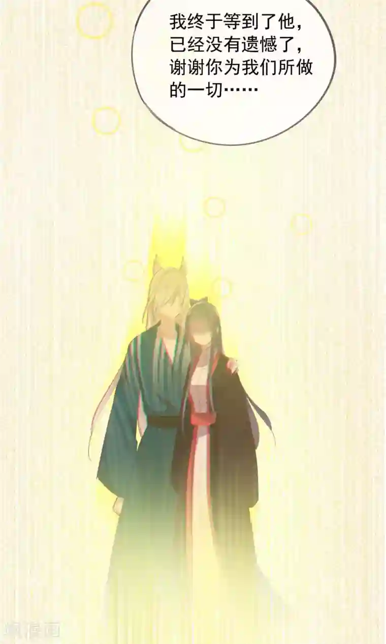 我的猫仙大人第37话 小狼与兰草