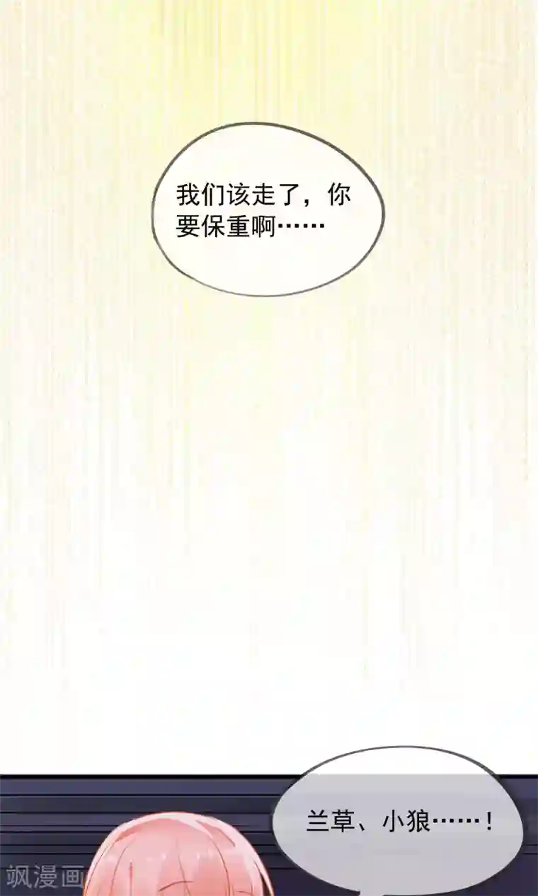 我的猫仙大人第37话 小狼与兰草