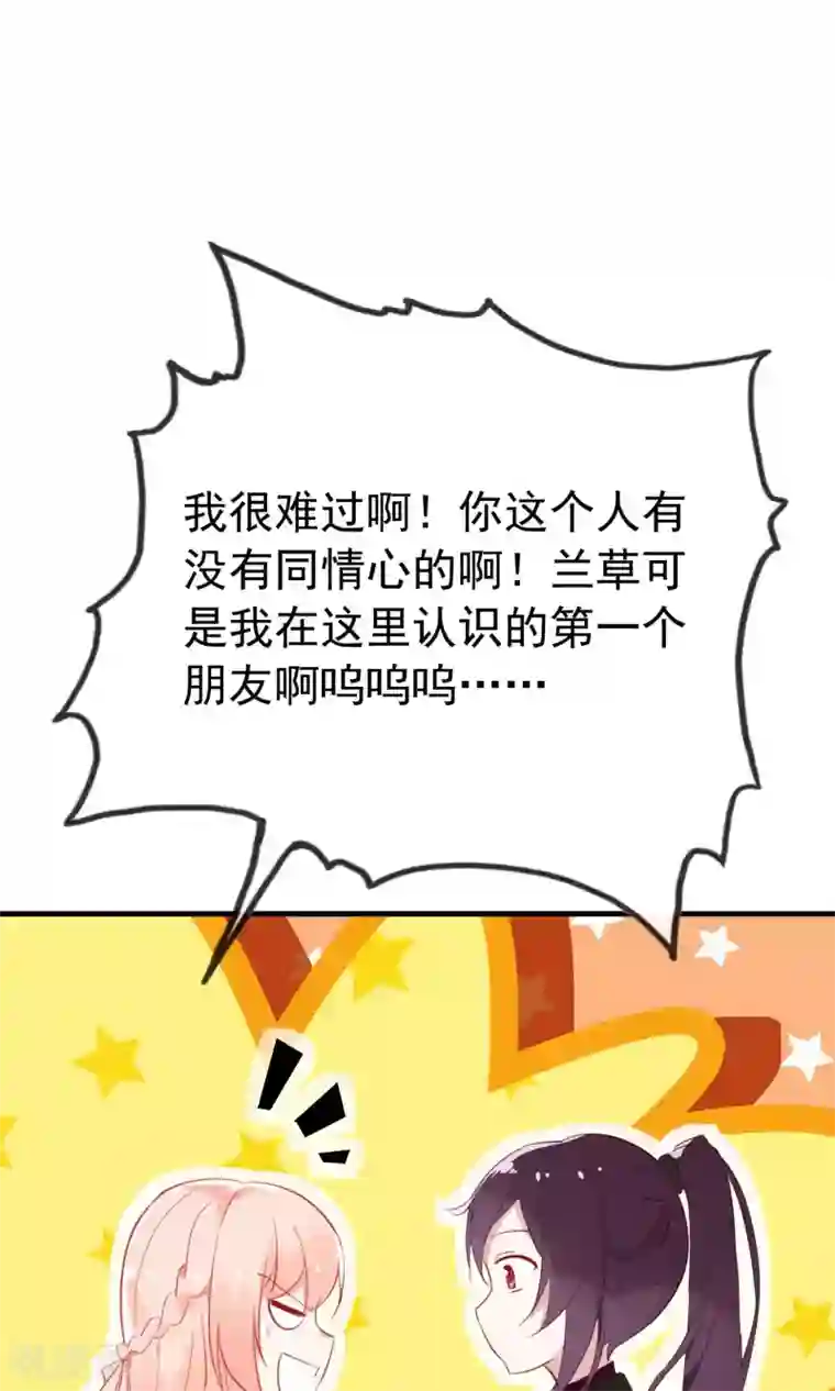 我的猫仙大人第37话 小狼与兰草