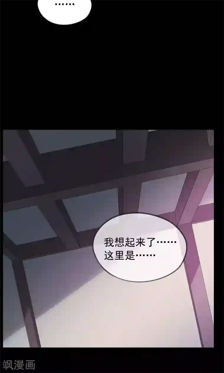 我的猫仙大人第37话 小狼与兰草