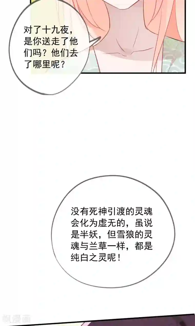 我的猫仙大人第37话 小狼与兰草