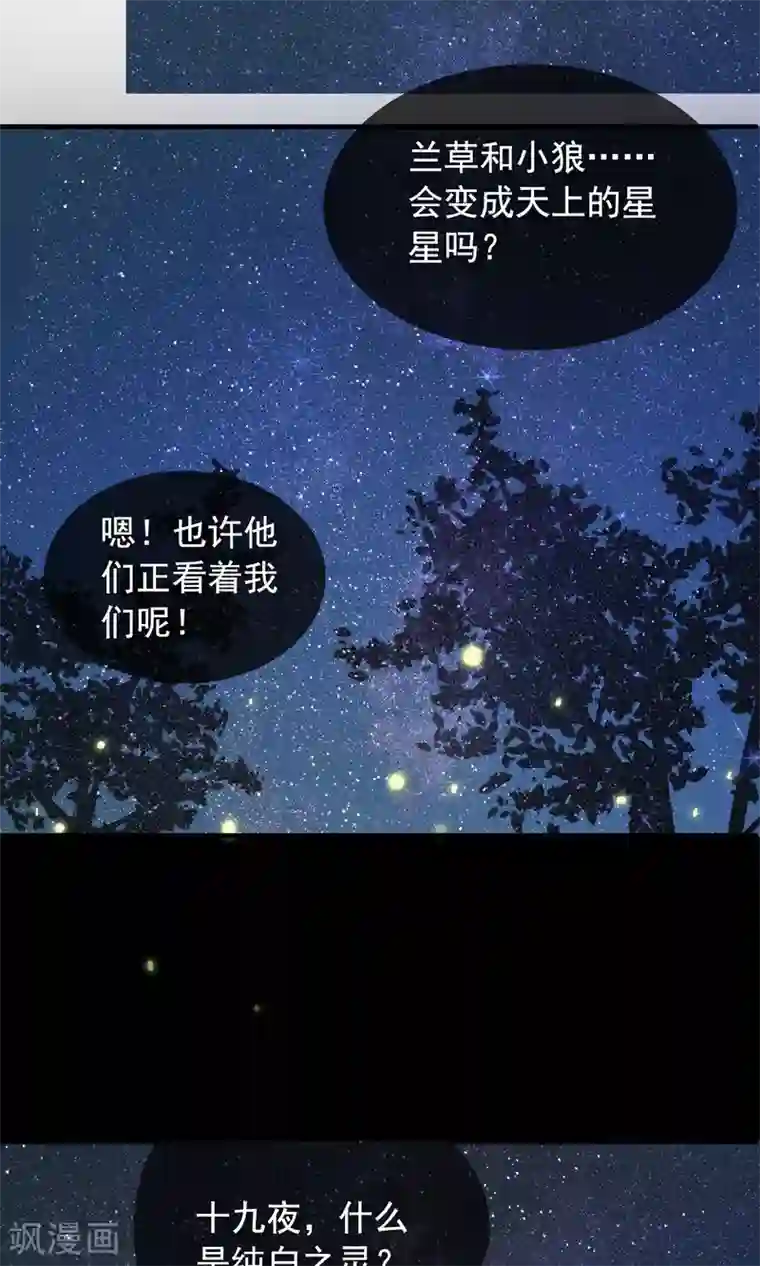 我的猫仙大人第37话 小狼与兰草