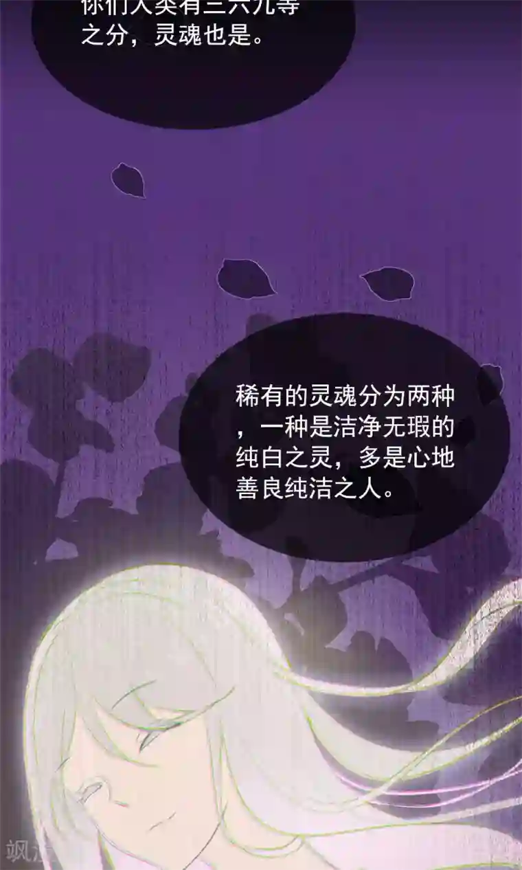 我的猫仙大人第37话 小狼与兰草