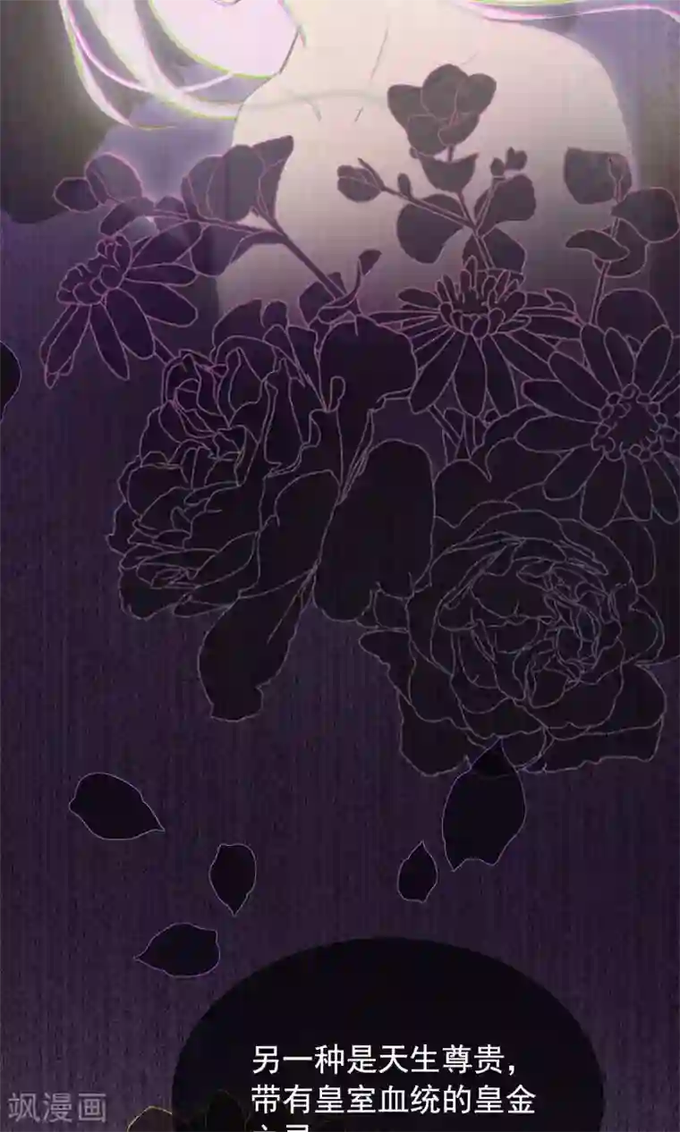 我的猫仙大人第37话 小狼与兰草