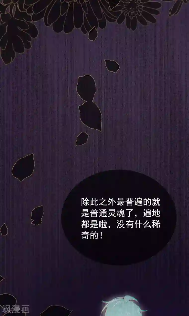 我的猫仙大人第37话 小狼与兰草