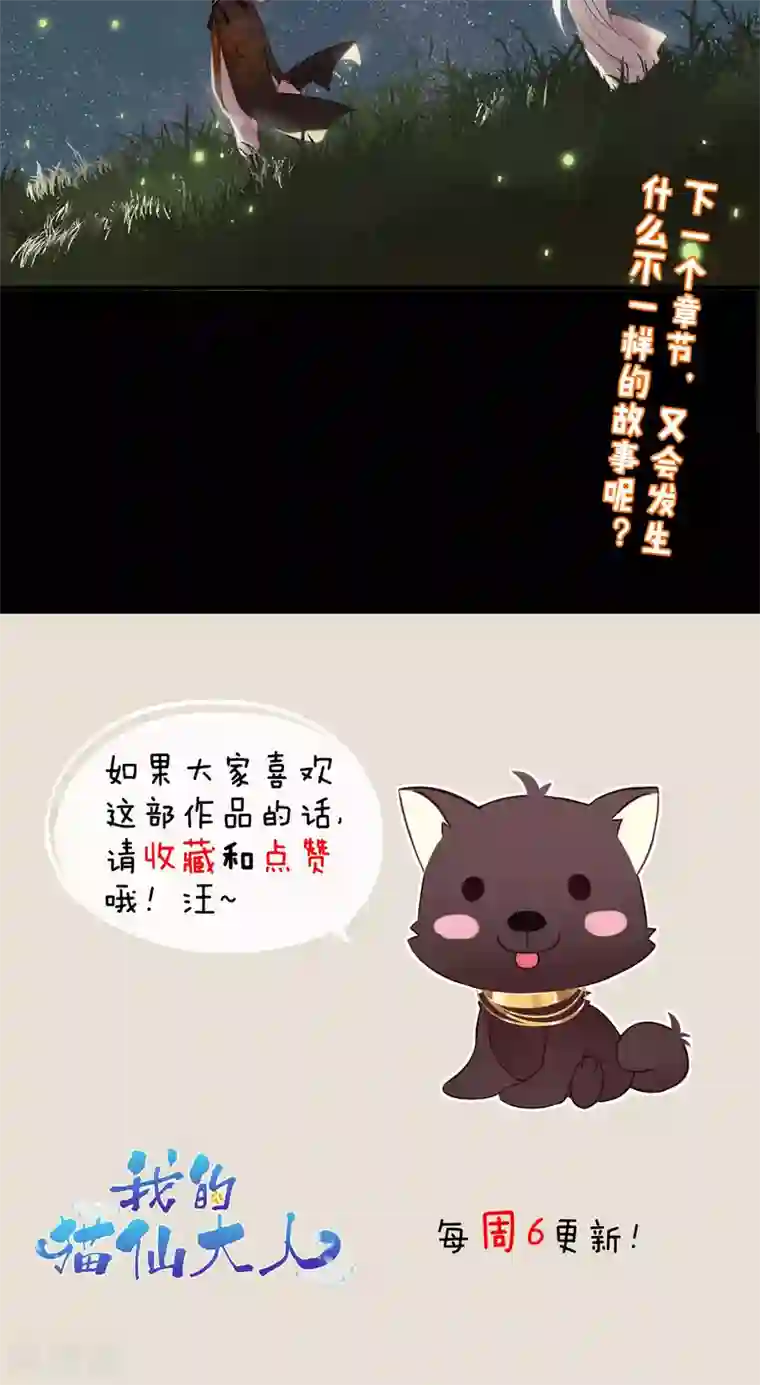 我的猫仙大人第37话 小狼与兰草